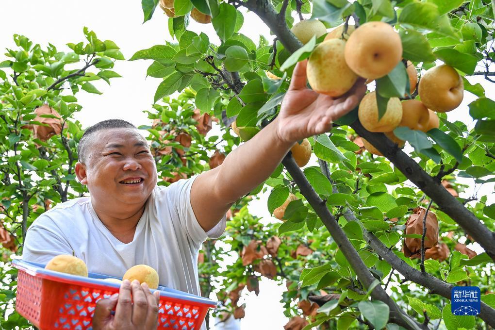 最新白菜免费彩金